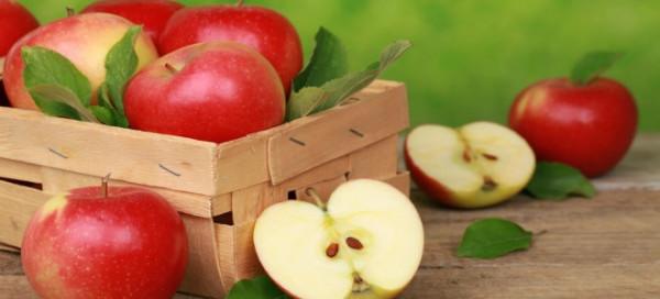 как хранить яблоки на зиму