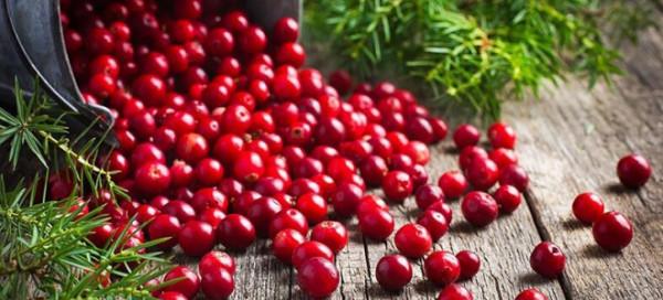 брусника с сахаром без варки на зиму