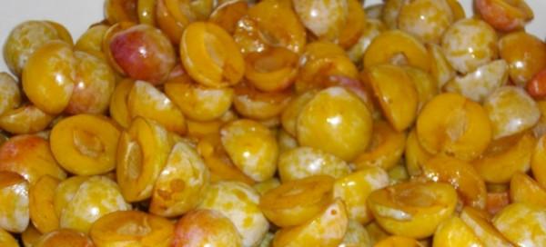 Как заморозить алычу на зиму