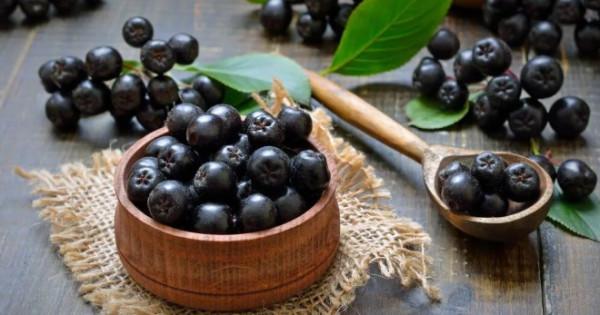 Рецепты черноплодной рябины — десерты, выпечка и алкоголь
