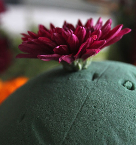 Как называется губка для цветочных композиций: описание, виды, применение